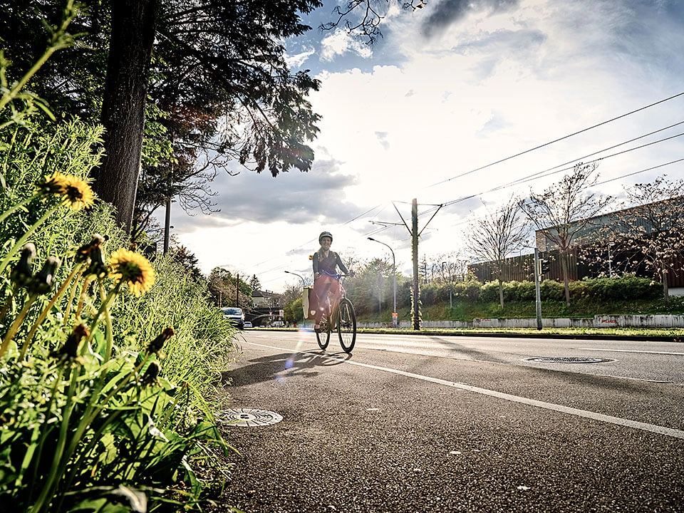 JobRadlerin auf Fahrradweg im Vordergrund Wiese, Baum und Löwenzahn JobRadlerin auf Fahrradweg im Vordergrund Wiese, Baum und Löwenzahn